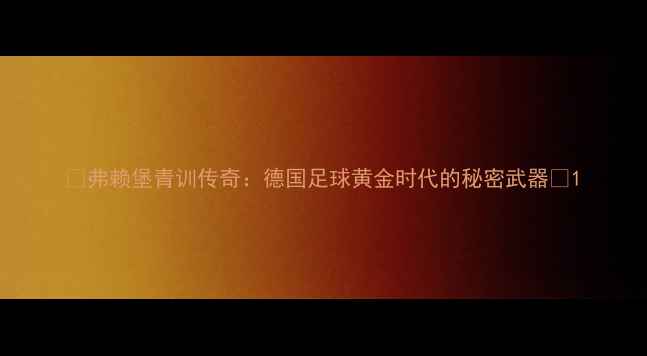 图片 🌟弗赖堡青训传奇：德国足球黄金时代的秘密武器🌟1