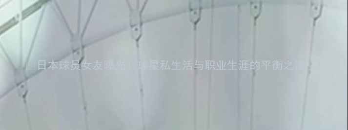 图片 🌟日本球员女友曝光！球星私生活与职业生涯的平衡之道✨1