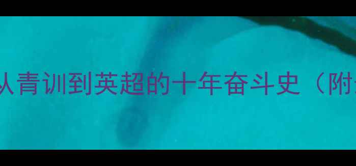 图片 🌟曼城曼联中国球员：从青训到英超的十年奋斗史（附最新名单+数据对比）🌟