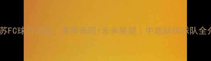 图片 🌟江苏FC球员深度🔥赛季表现+未来展望｜中超新锐球队全介绍2