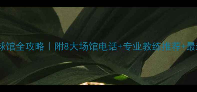 图片 🌟爱丁堡羽毛球馆全攻略｜附8大场馆电话+专业教练推荐+最新优惠清单🌟1