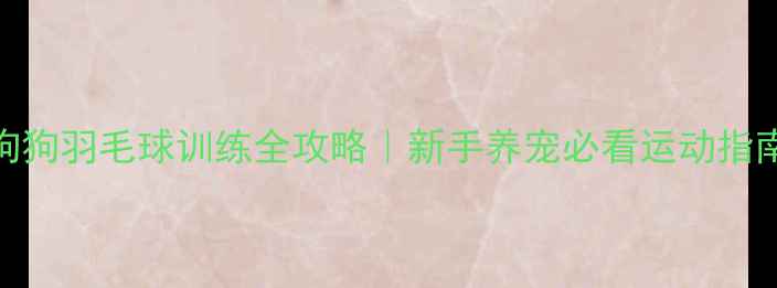图片 🌟狗狗羽毛球训练全攻略｜新手养宠必看运动指南🐾