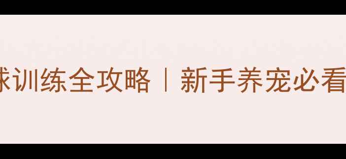 图片 🌟狗狗羽毛球训练全攻略｜新手养宠必看运动指南🐾2