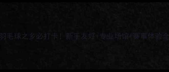 图片 🌟益阳羽毛球之乡必打卡！新手友好+专业场馆+赛事体验全攻略🏸