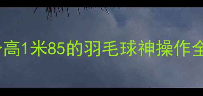 图片 🌟身高1米85的羽毛球神操作全🌟2