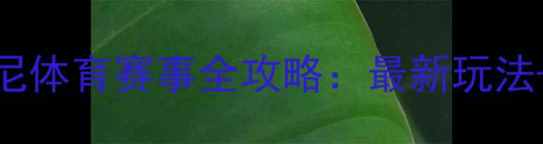 图片 🌟香港迪士尼体育赛事全攻略：最新玩法+参赛指南🏆