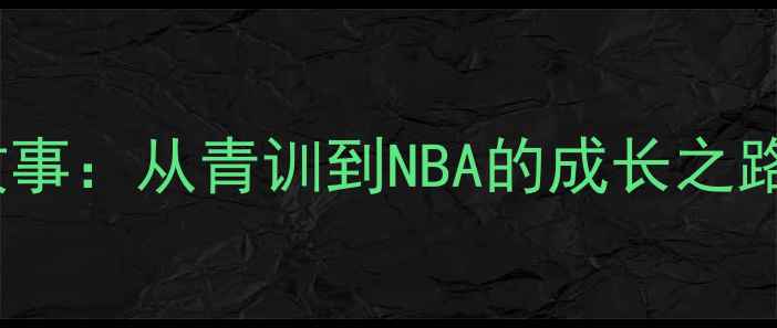 图片 🏀辽宁籍篮球运动员传奇故事：从青训到NBA的成长之路（附辽宁男篮青训体系）1