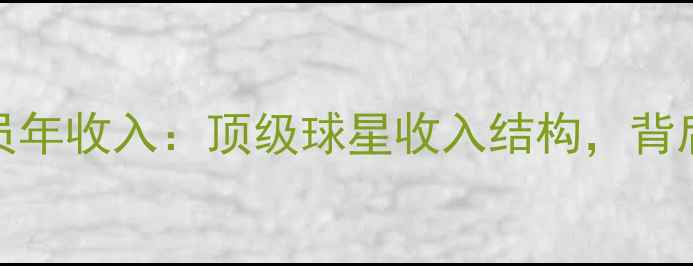 图片 🏆ATP球员年收入：顶级球星收入结构，背后的真相1