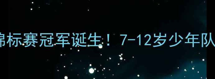 图片 🏆全国青少年足球锦标赛冠军诞生！7-12岁少年队逆袭夺冠全记录🔥1