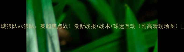 图片 🏆赫尔城狼队vs狼队：英超焦点战！最新战报+战术+球迷互动（附高清现场图）📊⚽️2