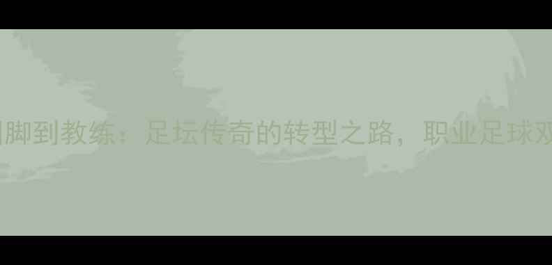 图片 🏆阿内尔卡从国脚到教练：足坛传奇的转型之路，职业足球双面人生全！🌟1