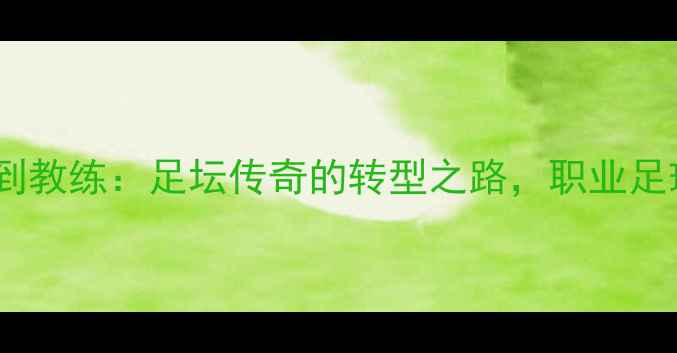 图片 🏆阿内尔卡从国脚到教练：足坛传奇的转型之路，职业足球双面人生全！🌟2