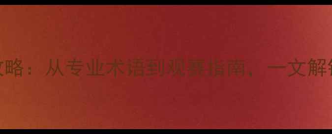 图片 🏎️赛车比赛全攻略：从专业术语到观赛指南，一文解锁极速狂飙体验！