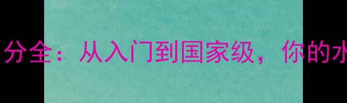 图片 🏓乒乓球协会等级划分全：从入门到国家级，你的水平对应哪个段位？1