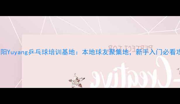 图片 🏓洛阳Yuyang乒乓球培训基地：本地球友聚集地，新手入门必看攻略1