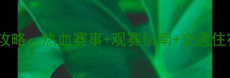 图片 🏓青岛乒乓球比赛全攻略：热血赛事+观赛指南+交通住宿全（附报名入口）1