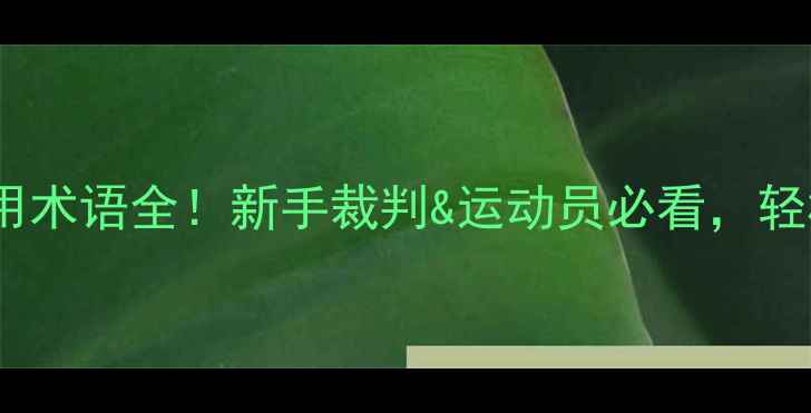 图片 🏸羽毛球裁判常用术语全！新手裁判&运动员必看，轻松掌握判罚规则2