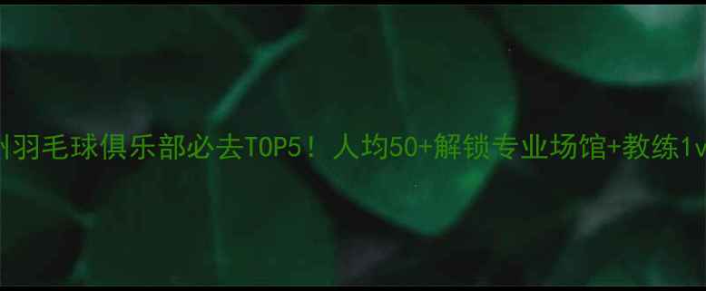 图片 🏸苏州羽毛球俱乐部必去TOP5！人均50+解锁专业场馆+教练1v1教学