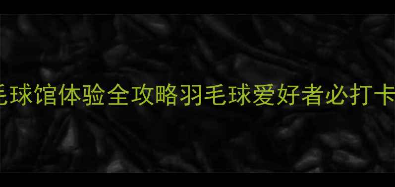 图片 🏸萧县凤山羽毛球馆体验全攻略羽毛球爱好者必打卡的宝藏场馆🏸2