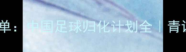 图片 💡归化球员大名单：中国足球归化计划全｜青训VS成年队博弈1