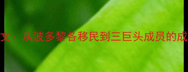 图片 🔥NBA传奇欧文：从波多黎各移民到三巨头成员的成长逆袭全🔥2
