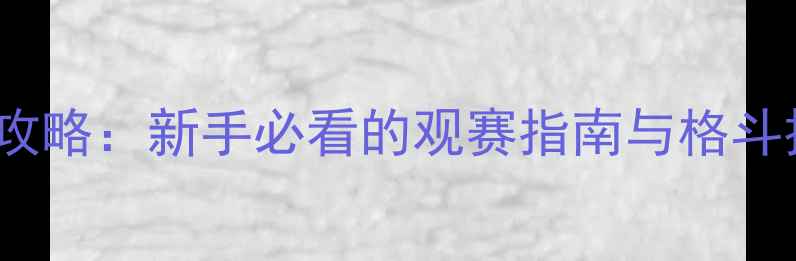 图片 🔥UFC综合格斗赛事全攻略：新手必看的观赛指南与格斗技巧（附最新赛程）🔥