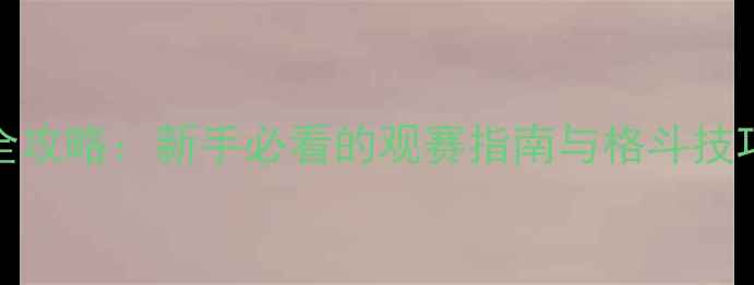 图片 🔥UFC综合格斗赛事全攻略：新手必看的观赛指南与格斗技巧（附最新赛程）🔥2