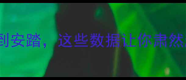 图片 🔥中国羽毛球传奇纪录大！从林丹到安踏，这些数据让你肃然起敬！国羽之光体育精神热血运动1