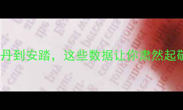 图片 🔥中国羽毛球传奇纪录大！从林丹到安踏，这些数据让你肃然起敬！国羽之光体育精神热血运动2