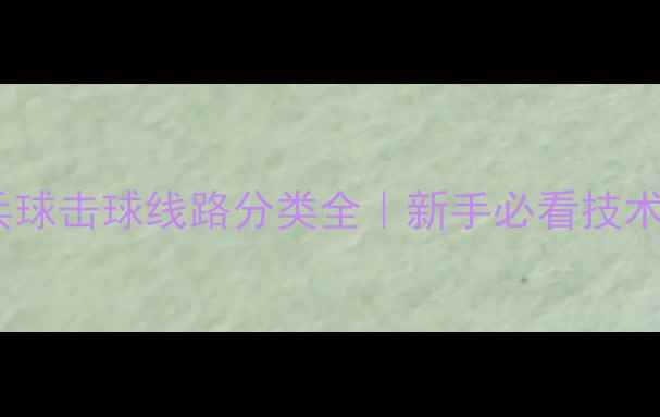图片 🔥乒乓球击球线路分类全｜新手必看技术篇🔥2