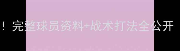 图片 🔥保莱塔赛季深度！完整球员资料+战术打法全公开（附最新阵容图）1