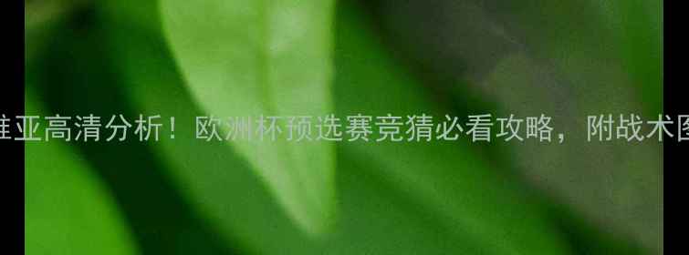图片 🔥匈牙利vs拉脱维亚高清分析！欧洲杯预选赛竞猜必看攻略，附战术图解+数据对比🔥2