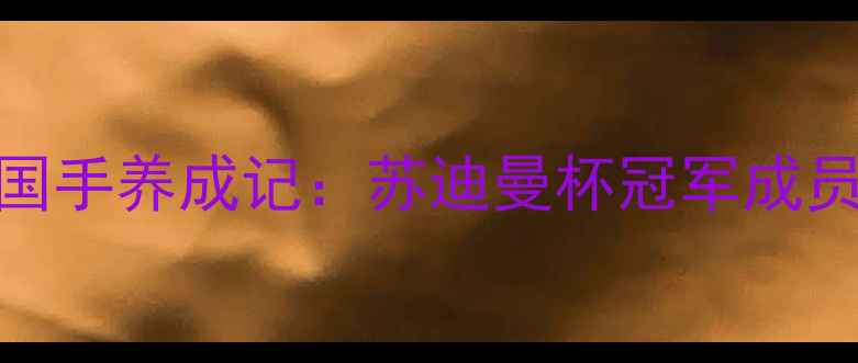 图片 🔥印尼羽毛球国手养成记：苏迪曼杯冠军成员的爆红之路🔥