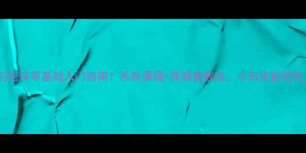 图片 🔥合肥羽毛球零基础入门指南！系统课程+高颜值教练，小白也能轻松上手！1