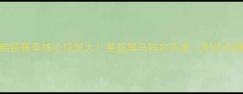 图片 🔥埃弗顿赛季核心球员大！英超黑马阵容深度（附战术图解）
