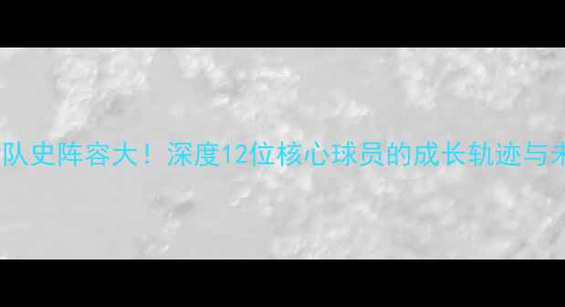 图片 🔥奇才队建队史阵容大！深度12位核心球员的成长轨迹与未来展望🔥1
