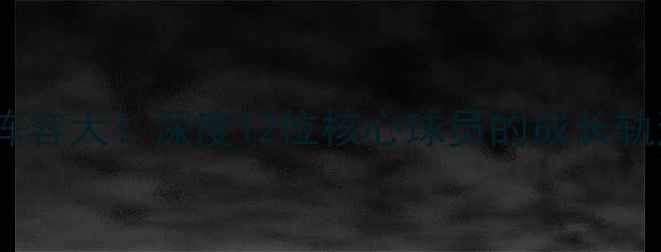 图片 🔥奇才队建队史阵容大！深度12位核心球员的成长轨迹与未来展望🔥2