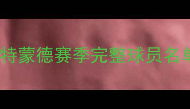 图片 🔥德甲劲旅深度｜多特蒙德赛季完整球员名单+战术体系全公开🔥