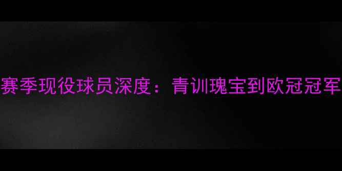 图片 🔥本菲卡赛季现役球员深度：青训瑰宝到欧冠冠军成员全🔥