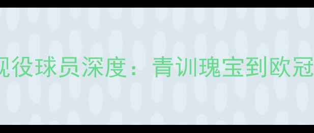 图片 🔥本菲卡赛季现役球员深度：青训瑰宝到欧冠冠军成员全🔥1