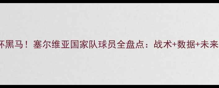 图片 🔥欧洲杯黑马！塞尔维亚国家队球员全盘点：战术+数据+未来战力💥1