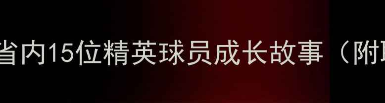图片 🔥河北体育新势力！省内15位精英球员成长故事（附职业联赛表现数据）1