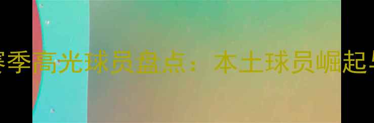 图片 🔥深圳佳兆业队赛季高光球员盘点：本土球员崛起与外援表现分析🔥