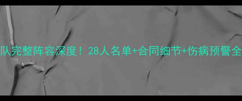 图片 🔥猛龙队完整阵容深度！28人名单+合同细节+伤病预警全公开🏀