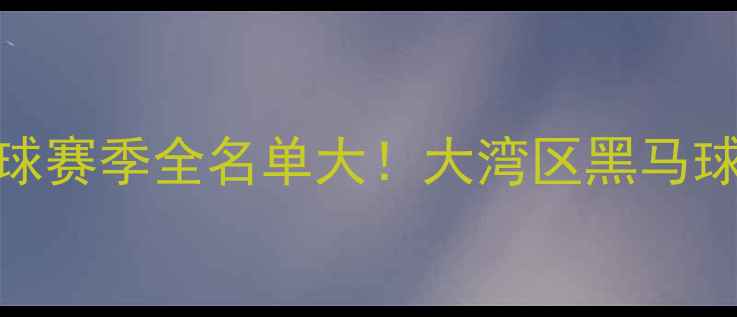 图片 🔥石湾篮球赛季全名单大！大湾区黑马球队深度🏀