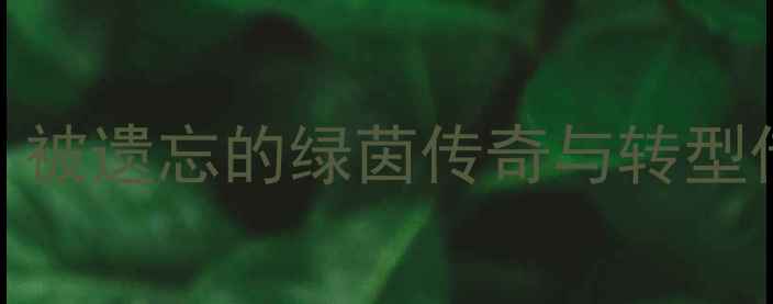 图片 🔥穆里尼奥球员生涯：被遗忘的绿茵传奇与转型传奇教练的幕后故事🔥