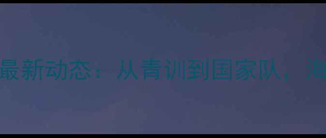 图片 🔥立陶宛中国球员最新动态：从青训到国家队，海外足球发展之路🔥