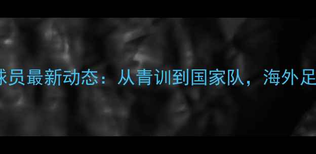 图片 🔥立陶宛中国球员最新动态：从青训到国家队，海外足球发展之路🔥1