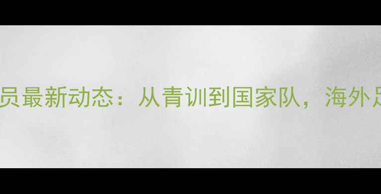 图片 🔥立陶宛中国球员最新动态：从青训到国家队，海外足球发展之路🔥2
