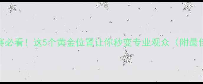 图片 🔥网球比赛观赛必看！这5个黄金位置让你秒变专业观众（附最佳观赛时间表）